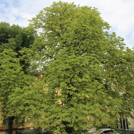 아파트먼트 템펠호프 아파트호텔 베를린