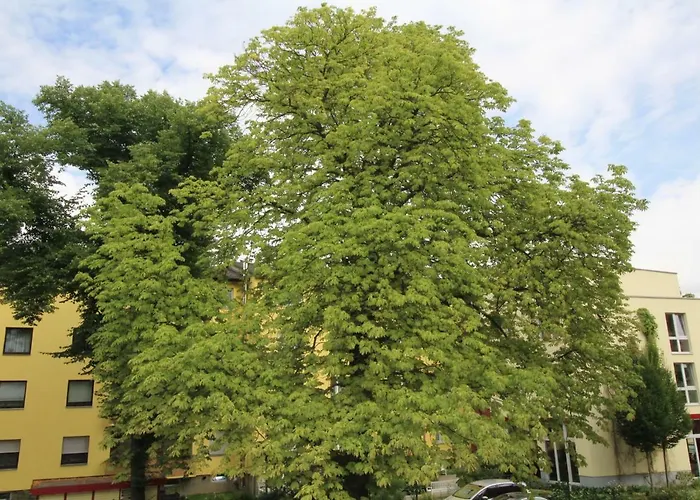 Tempelhof شقة فندقية برلين